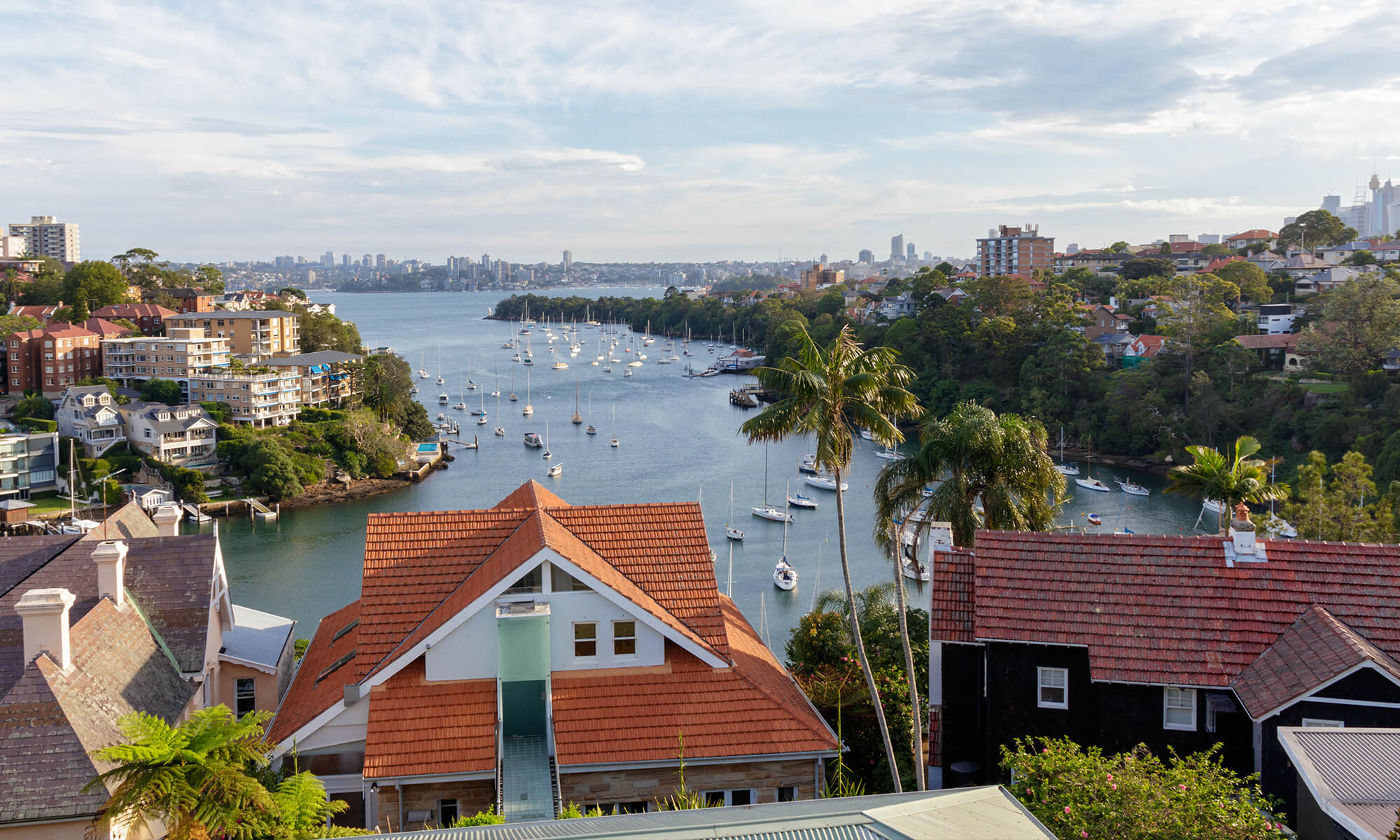 Overlooking houses and apartments near the harbour in Mosman, NSW LGA